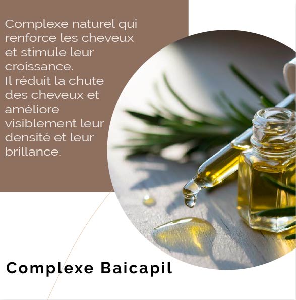 Complexe Baicapil